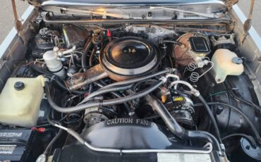 Chevrolet-monte-carlo-ls-1984-silver-10