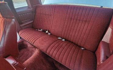 Chevrolet-monte-carlo-ls-1984-silver-9
