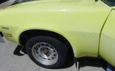 Chevrolet-monza-1975-6