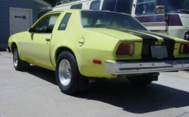 Chevrolet-monza-1975-9