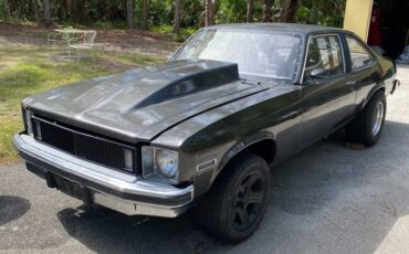 Chevrolet-nova-1977-grey