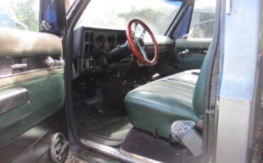 Chevrolet-pu-1973-grey-2