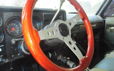 Chevrolet-pu-1973-grey-5