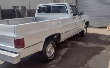 Chevrolet-r10-custom-deluxe-1987-white-4