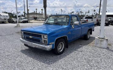 Chevrolet-rv-10-series-1987-blue-1