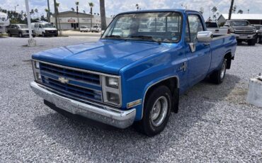 Chevrolet-rv-10-series-1987-blue-2