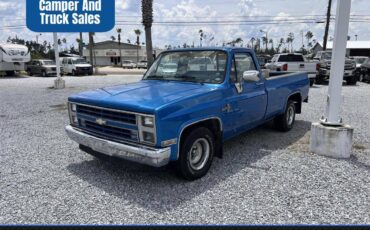 Chevrolet-rv-10-series-1987-blue