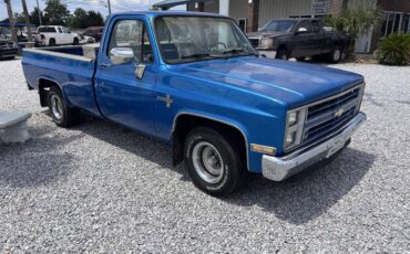 Chevrolet-rv-10-series-1987-blue-4