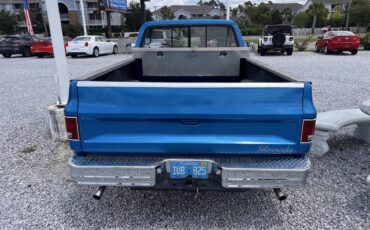 Chevrolet-rv-10-series-1987-blue-6