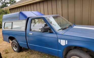 Chevrolet-s-10-pickup-12-ton-1989-blue-1