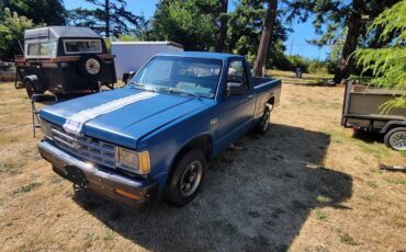 Chevrolet-s-10-pickup-12-ton-1989-blue-10