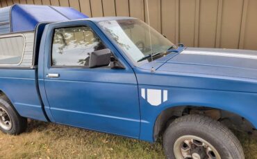 Chevrolet-s-10-pickup-12-ton-1989-blue-11
