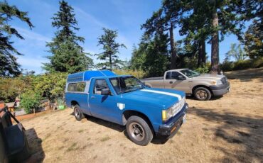 Chevrolet-s-10-pickup-12-ton-1989-blue-13