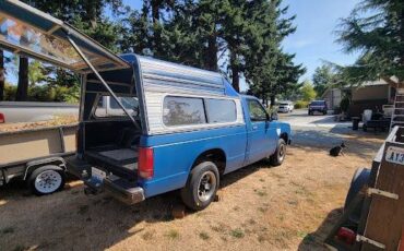 Chevrolet-s-10-pickup-12-ton-1989-blue-16
