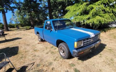 Chevrolet-s-10-pickup-12-ton-1989-blue-2