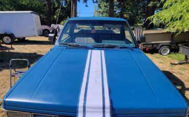 Chevrolet-s-10-pickup-12-ton-1989-blue