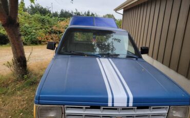 Chevrolet-s-10-pickup-12-ton-1989-blue-5