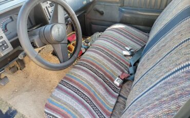 Chevrolet-s-10-pickup-12-ton-1989-blue-7