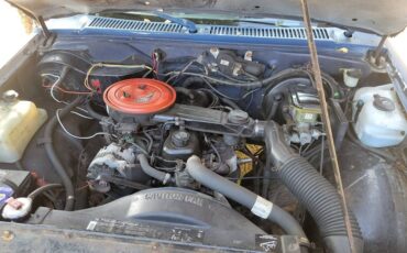 Chevrolet-s-10-pickup-12-ton-1989-blue-8