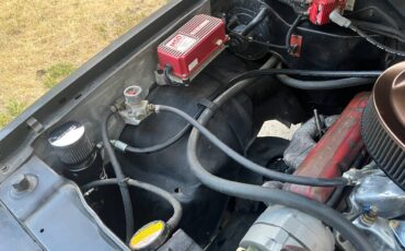 Chevrolet-s-10-pickup-12-ton-nominal-1988-custom-3