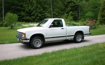 Chevrolet-s-10-pickup-12-ton-nominal-1991-white-22