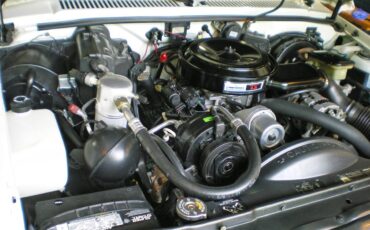 Chevrolet-s-10-pickup-12-ton-nominal-1991-white-8