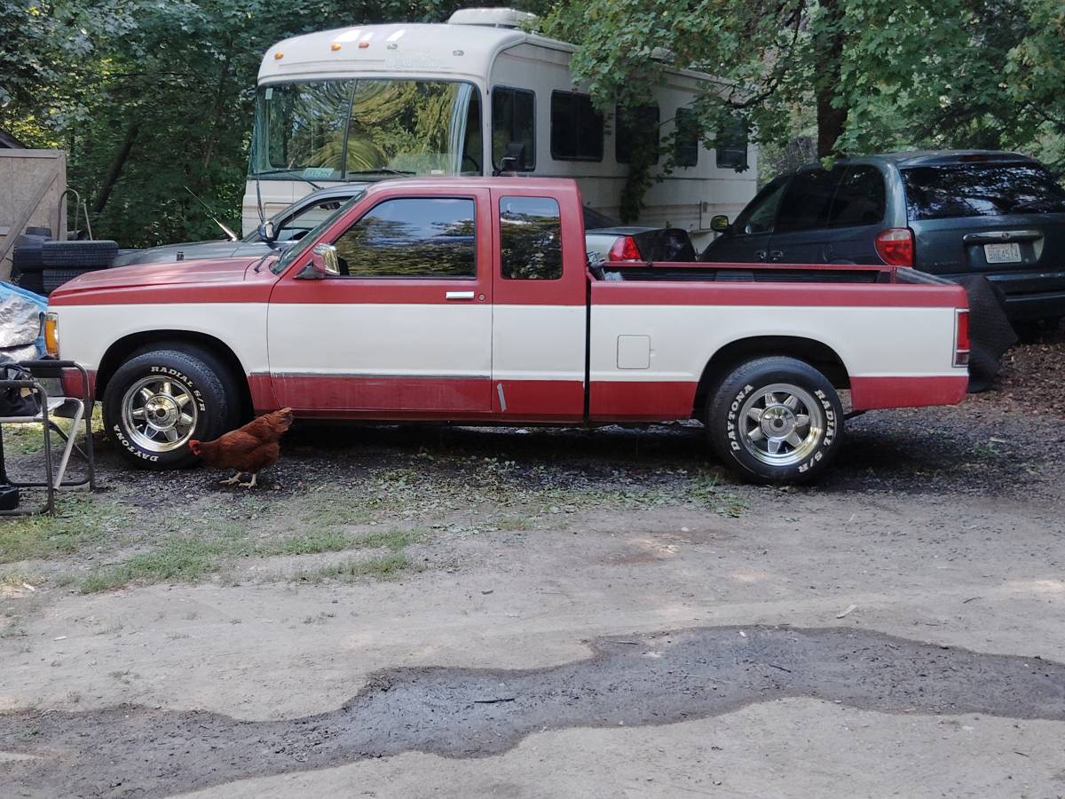 Chevrolet-s-10-x-cab-truck-1991-custom-1