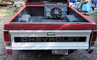 Chevrolet-s-10-x-cab-truck-1991-custom-3