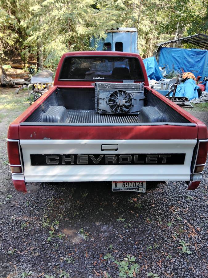 Chevrolet-s-10-x-cab-truck-1991-custom-3
