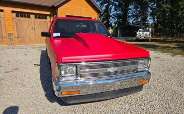 Chevrolet-s10-1984-19
