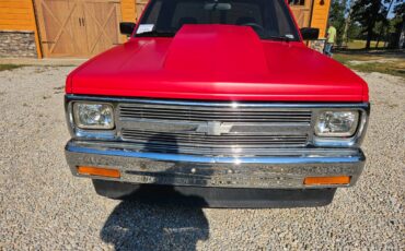Chevrolet-s10-1984-20