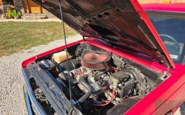 Chevrolet-s10-1984-21