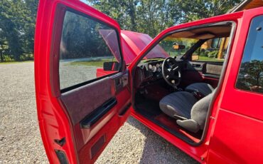 Chevrolet-s10-1984-8