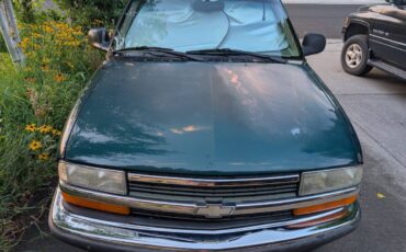 Chevrolet-s10-1988-green-5