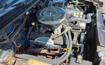 Chevrolet-s10-1989-10