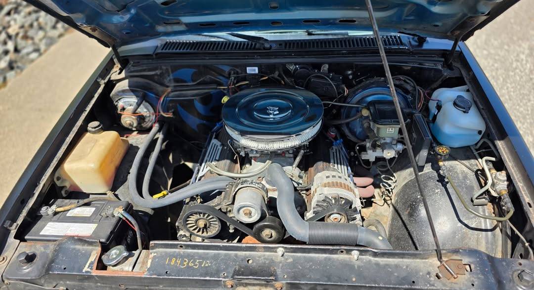 Chevrolet-s10-1989-9