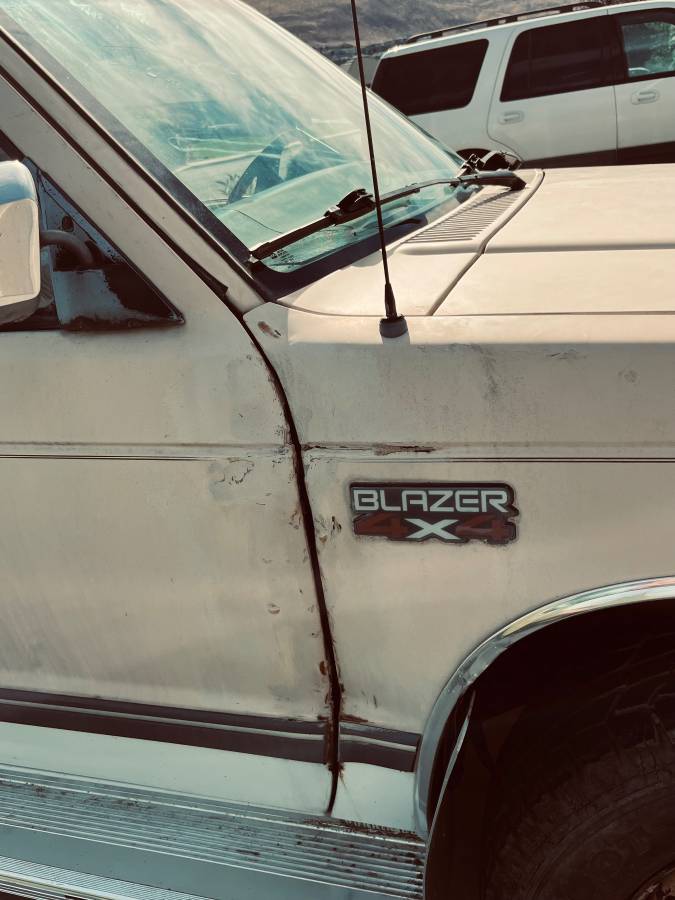 Chevrolet-s10-blazer-1984-brown-1