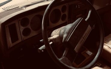 Chevrolet-s10-blazer-1984-brown-2