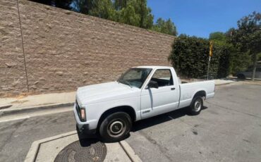 Chevrolet-s10-pickup-1991-1
