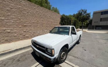 Chevrolet-s10-pickup-1991-11