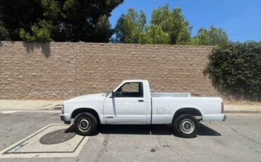 Chevrolet-s10-pickup-1991-12