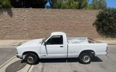 Chevrolet-s10-pickup-1991-13