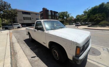 Chevrolet-s10-pickup-1991-3