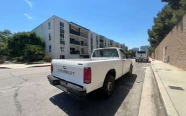 Chevrolet-s10-pickup-1991-4