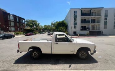 Chevrolet-s10-pickup-1991-5