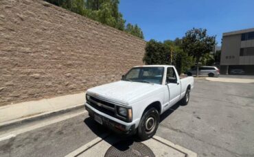 Chevrolet-s10-pickup-1991-6
