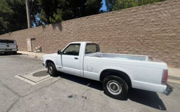 Chevrolet-s10-pickup-1991-7