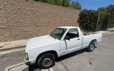 Chevrolet-s10-pickup-1991-8