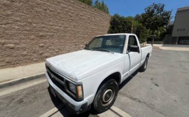 Chevrolet-s10-pickup-1991-9
