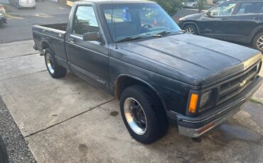 Chevrolet-s10-pickup-1991-black-10